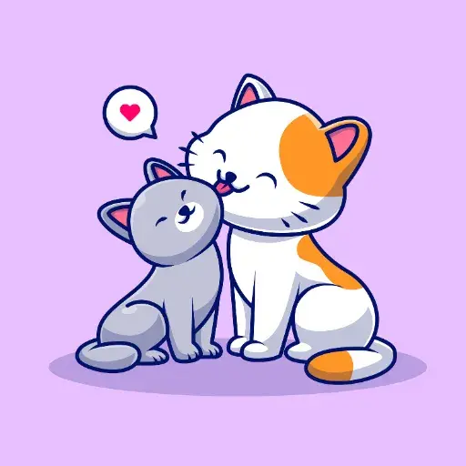 category Gatos